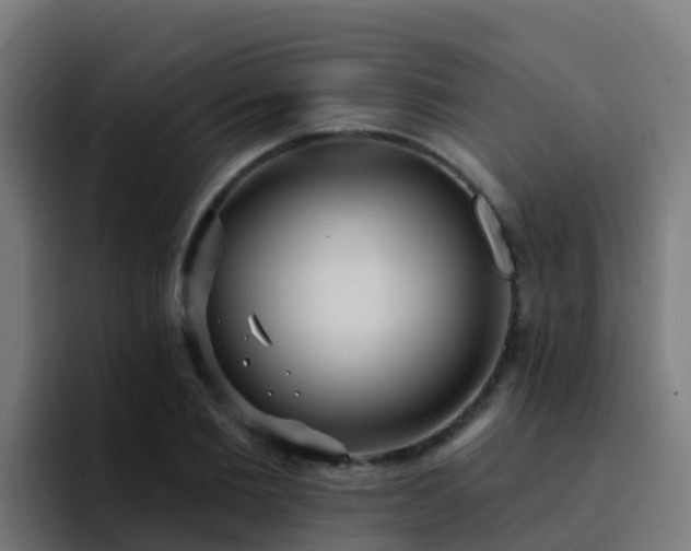 X0000094920885200712061107