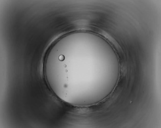 X0000094920886200712061107