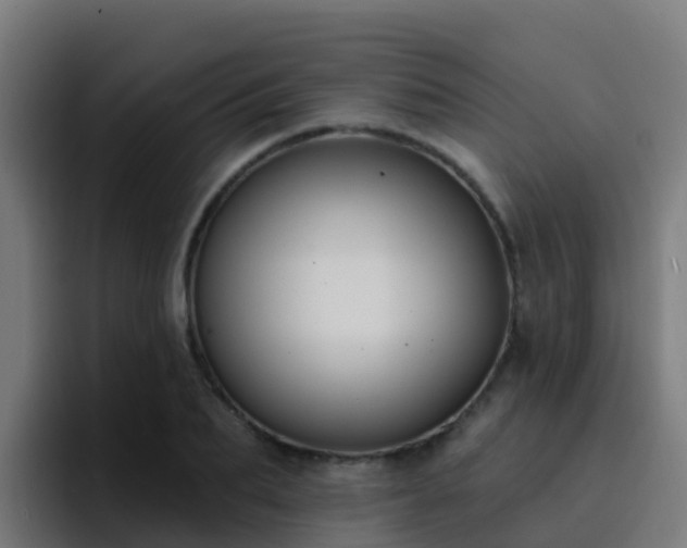 X0000094920887200712061107