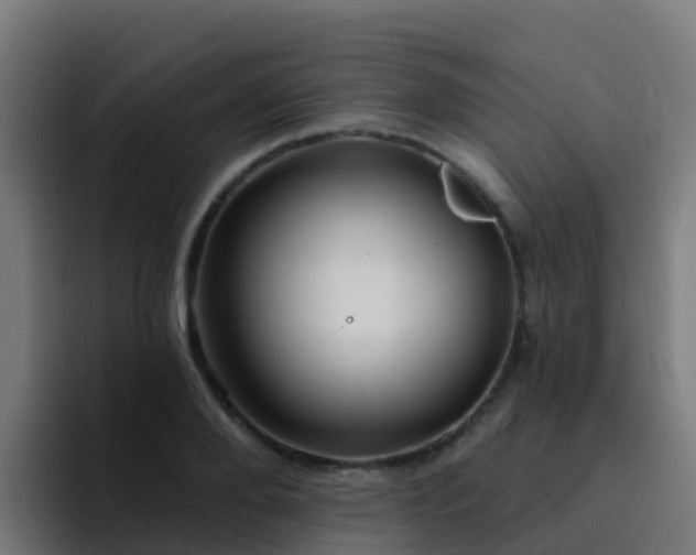 X0000094920888200712061107