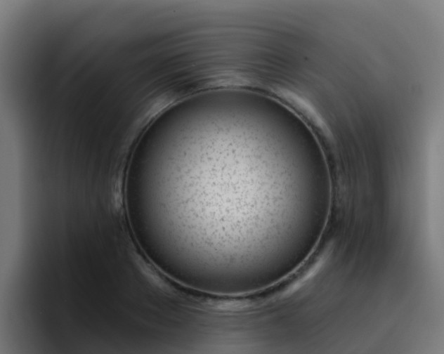 X0000094920889200712061107