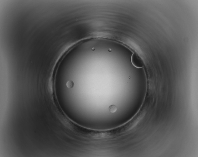 X0000094920891200712061107