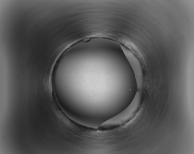 X0000094920892200712061106