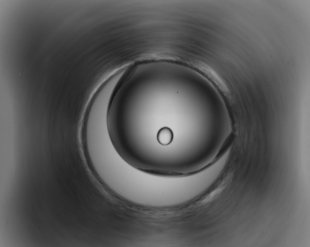 X0000094920893200712061106