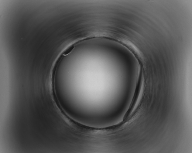 X0000094920894200712061106