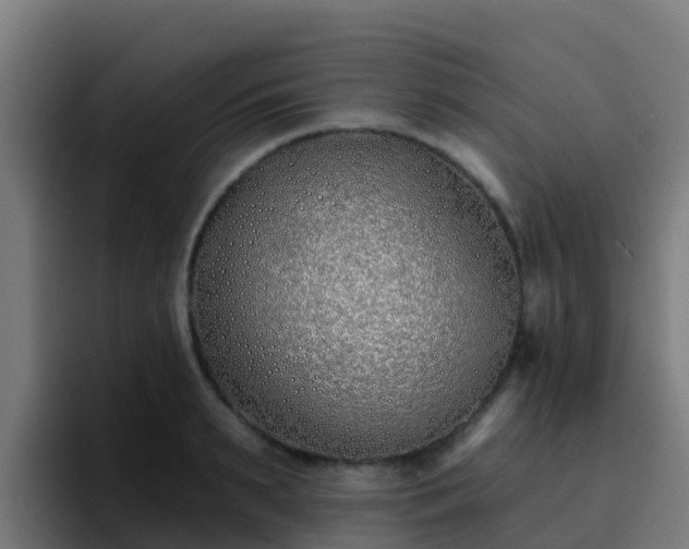 X0000094920895200712061106