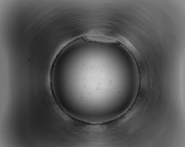 X0000094920896200712061106