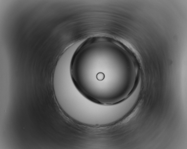 X0000094920897200712061106