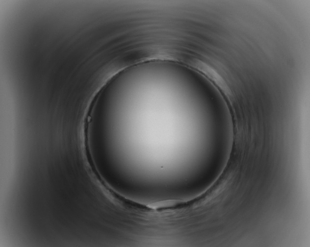 X0000094920898200712061106