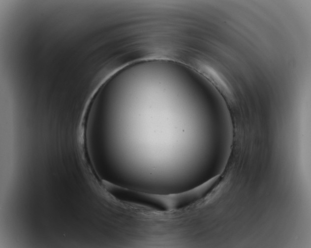 X0000094920900200712061106