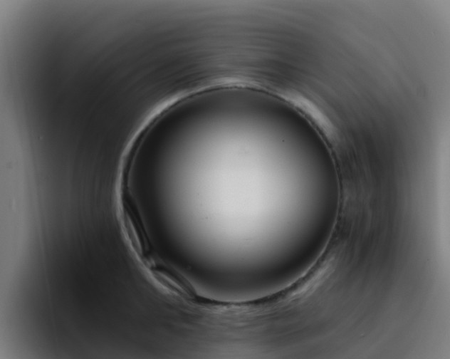 X0000094920902200712061106