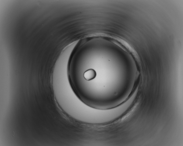 X0000094920905200712061106