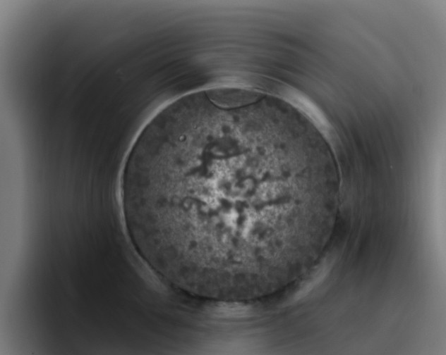X0000094920907200712061106