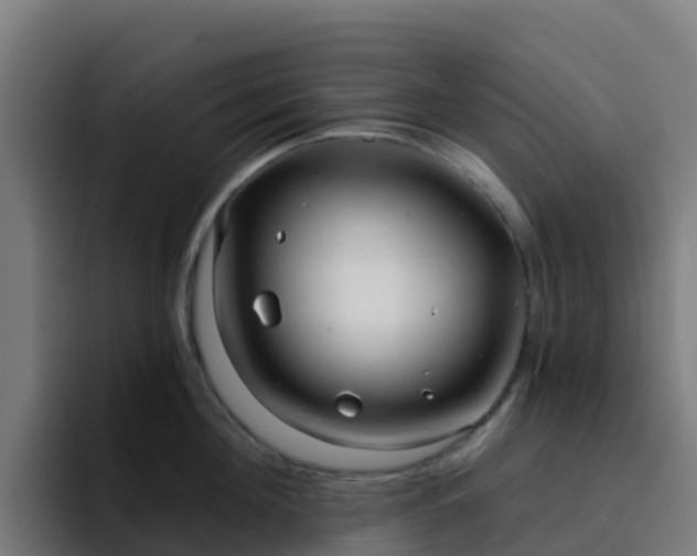 X0000094920908200712061106