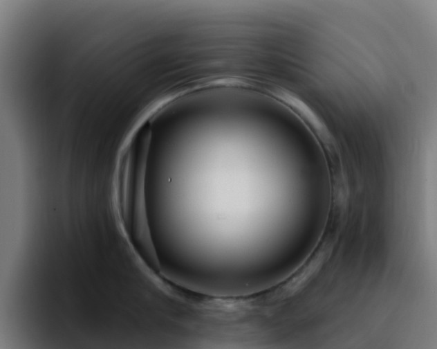 X0000094920910200712061106