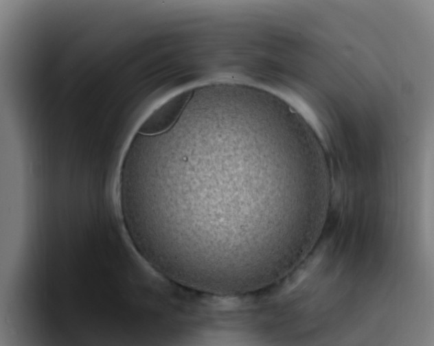 X0000094920911200712061106