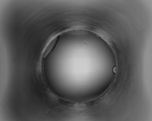 X0000094920912200712061106