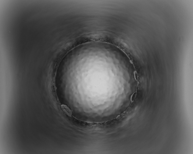 X0000094920913200712061106