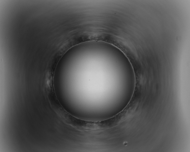 X0000094920914200712061106