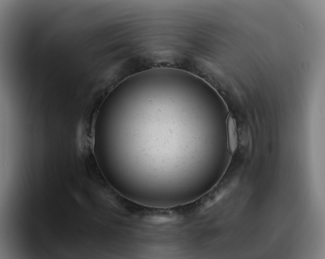 X0000094920916200712061106