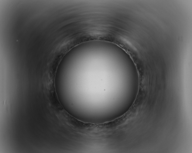 X0000094920917200712061106