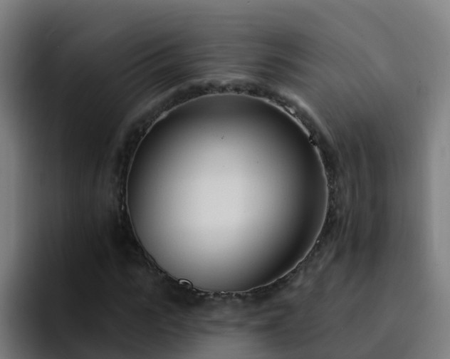 X0000094920919200712061106