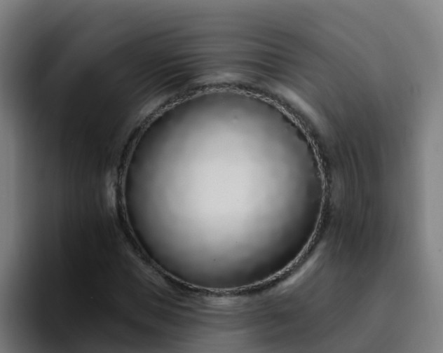 X0000094920921200712061106