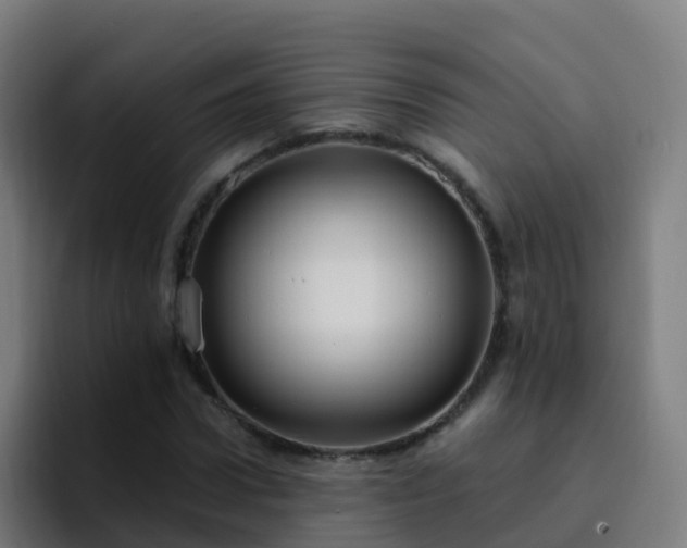 X0000094920922200712061106