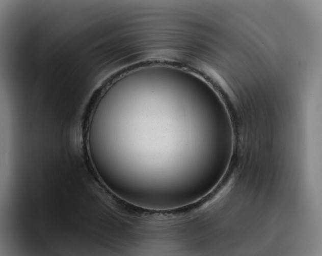 X0000094920923200712061106