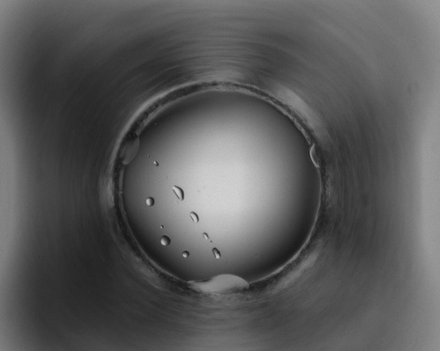 X0000094920924200712061106