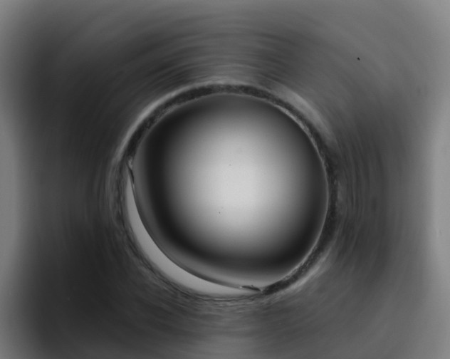 X0000094920926200712061106