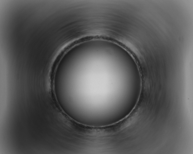 X0000094920927200712061106