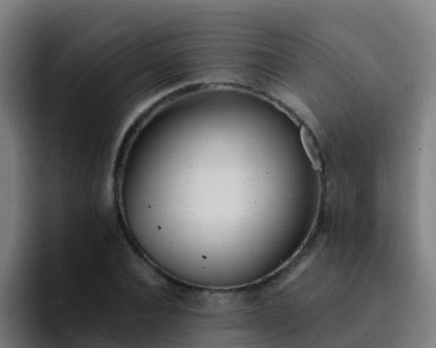 X0000094920928200712061106