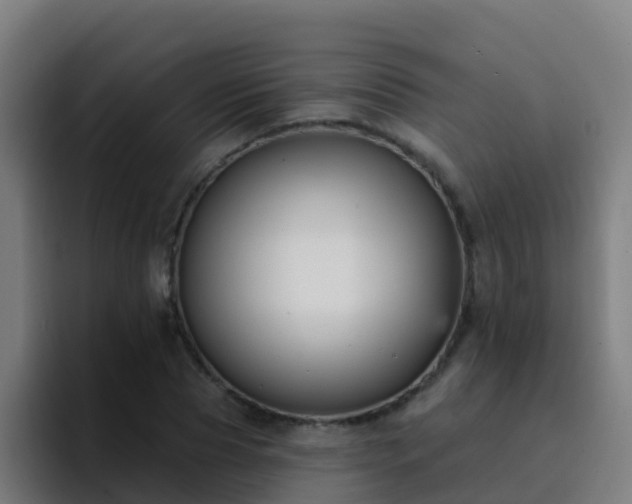 X0000094920929200712061106