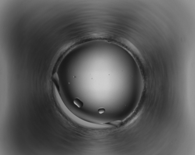 X0000094920930200712061106