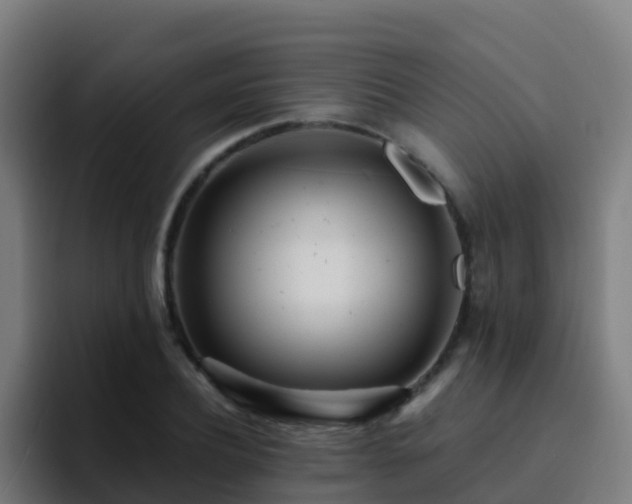 X0000094920932200712061106