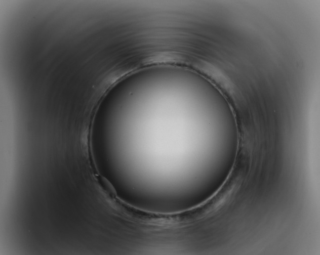 X0000094920937200712061106