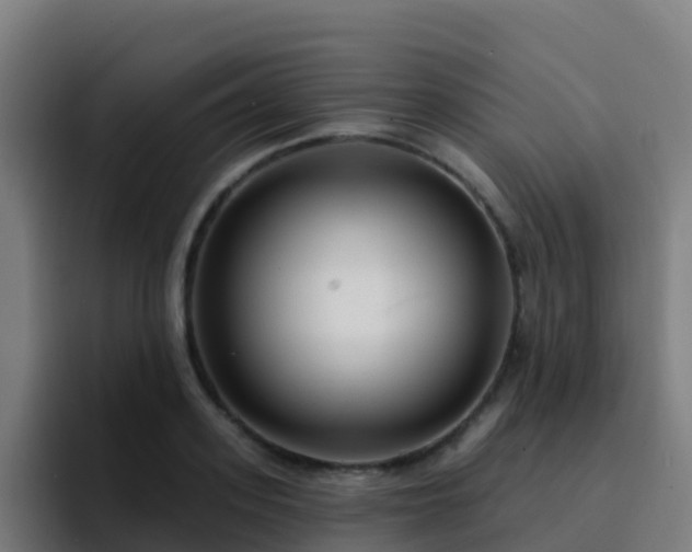 X0000094920939200712061106