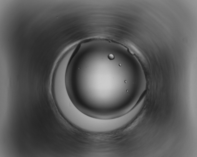 X0000094920940200712061106