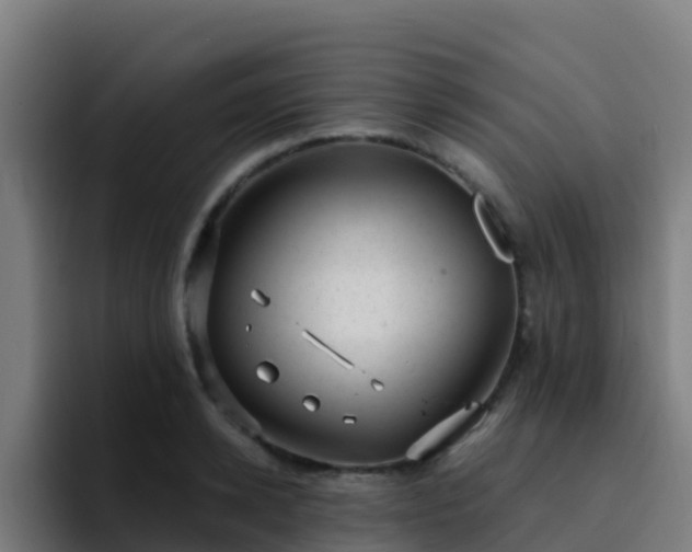 X0000094920942200712061106