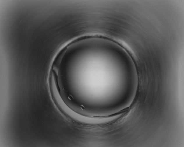 X0000094920943200712061106