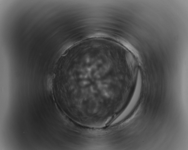 X0000094920945200712061106