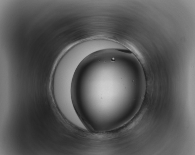 X0000094920948200712061106