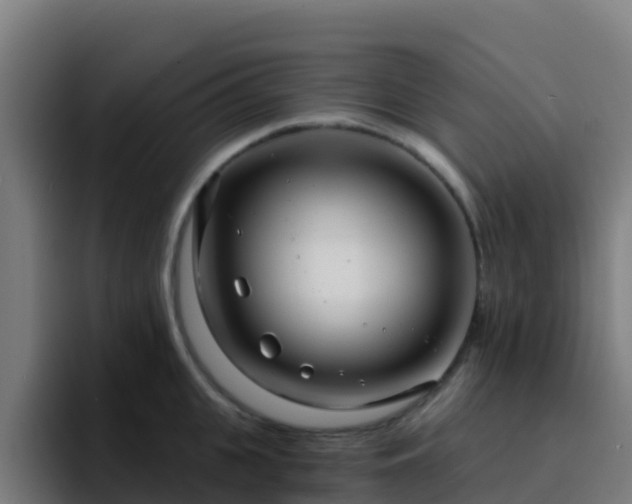 X0000094920951200712061106