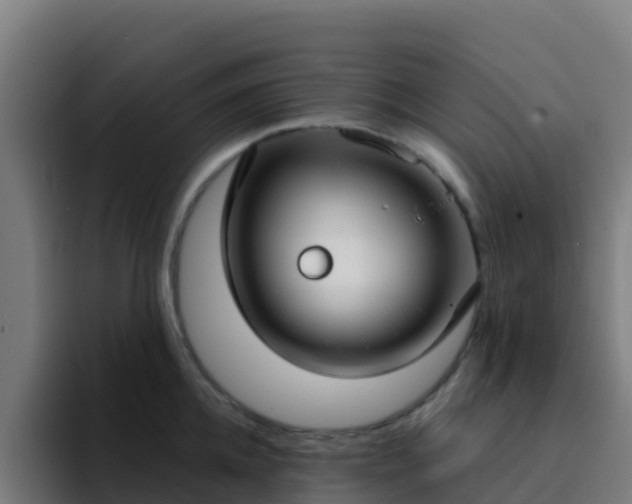 X0000094920952200712061106