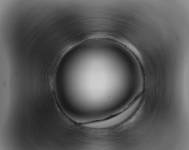 X0000094920953200712061106