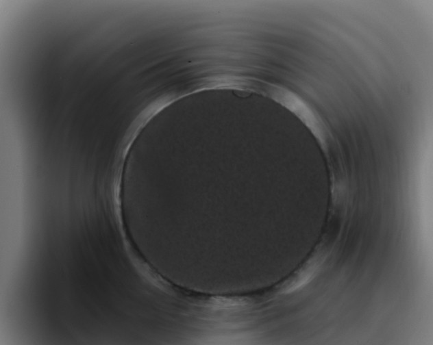 X0000094920954200712061106