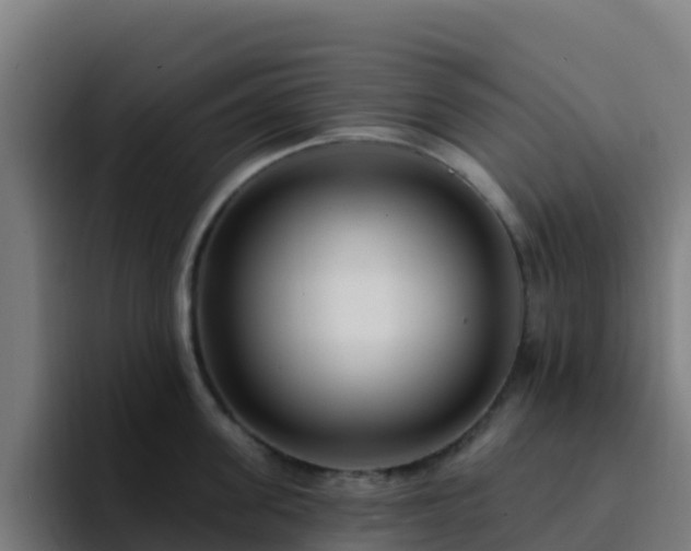 X0000094920955200712061106