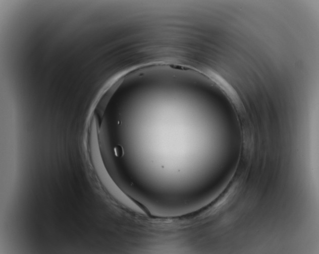 X0000094920956200712061106