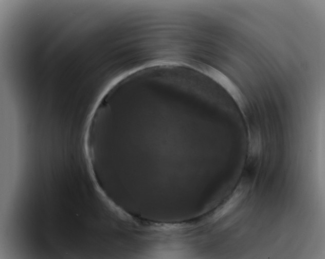 X0000094920958200712061106